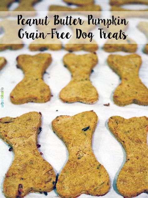 Puppy Snacks, Peanut Butter Pumpkin Dog Treats, Dog Baking, Grain Free Dog Treats, Homemade Dog Cookies, Against All Grain, Pumpkin Treats, Dog Treats Grain Free, Dog Biscuit Recipes