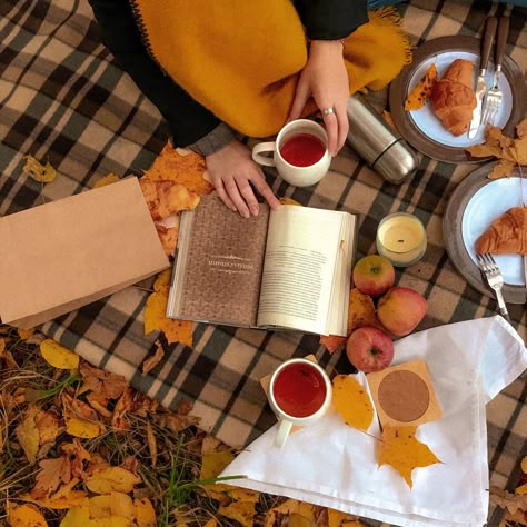 Autumn Picnic Photoshoot, Autumn Picnic Aesthetic, Fall Picnic Aesthetic, Fall Picnic Photoshoot, Cozy Picnic, Autumn Photography Portrait, Autumn Tale, Autumn Picnic, Aesthetic Picnic