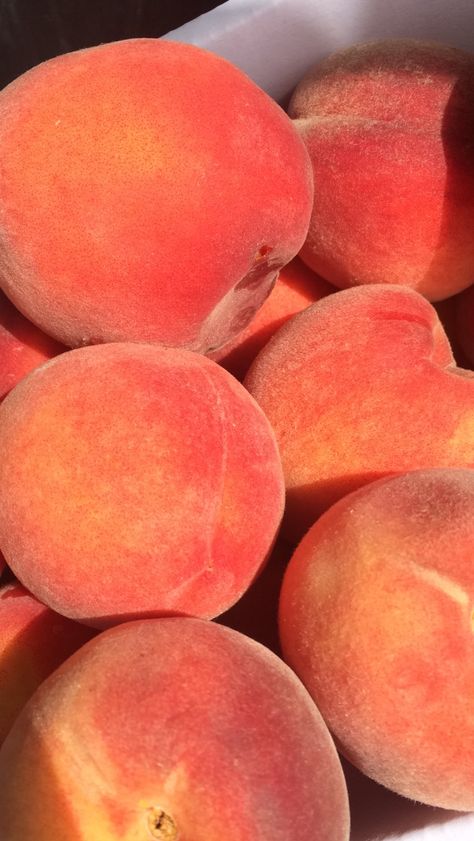 Color Melon, Peach Aesthetic, Peach Fruit, Orange Aesthetic, Roald Dahl, Just Peachy, 壁紙 かわいい, Pretty Food, Peaches