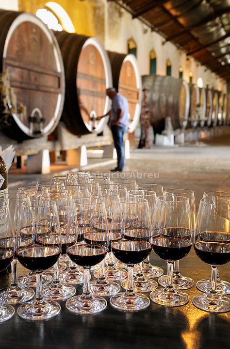 Portuguese Vineyard, Wine Portugal, Portugal Wine, Grapes Wine, Wine Images, Portuguese Wine, Wine Tourism, Wine House, Sintra Portugal