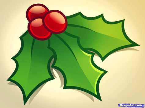 how to draw christmas holly Christmas Decorations Drawings, Xmas Flowers, Draw Christmas, Easy Christmas Drawings, Christmas Leaves, Christmas Plants, Christmas Doodles, Leaf Drawing, Holly Berry