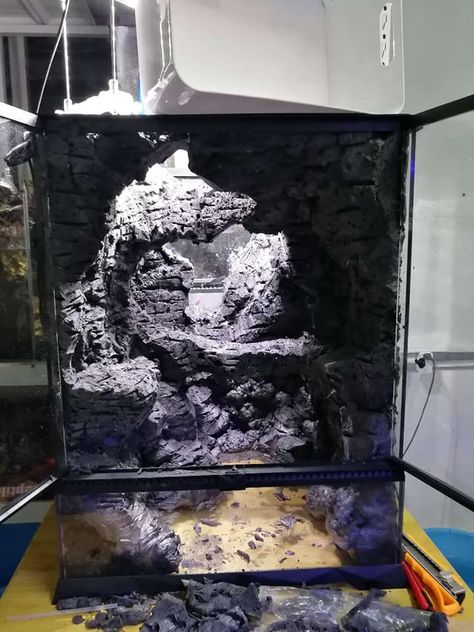 Cave Terrarium, Dinosaur Aquarium, Bioactive Vivarium, Tropical Terrariums, Snake Terrarium, Frog Terrarium, Gecko Terrarium, Spoiled Pets, Bonsai Tree Care