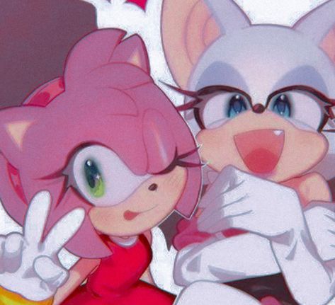 Amy And Rouge Fanart, Rouge The Bat And Amy Rose, Rouge And Amy Rose, Amy And Rouge Matching Pfp, Rouge And Amy Matching Pfp, Sonic Rouge Fanart, Amy X Rouge, Sonic Rouge The Bat, Amy Rose And Rouge