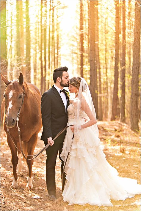 romantic forest wedding photo inspiration Farm Wedding Photo Ideas, Horse Arena Wedding, Horse Wedding Photos, Romantic Forest, Equestrian Wedding, Wedding Fotos, Farm Wedding Photos, Photography Forest, Horse Wedding