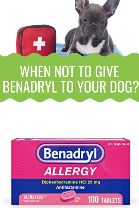 Your dog has an allergic reaction and you want to react as quick as possible? The first thing that comes to your mind is giving him benadryl, but is that safe? Would this antihistamine help him or not? Learn more about when it is safe to give benadryl to your dog, and when it is not! #doghealth #dog #dogs Benadryl For Dogs Dosage, Itchy Dog Ears, Dog Benadryl, Remedies For Bee Stings, Meds For Dogs, Itchy Ears, Medication For Dogs, Dog Itching, Dog Essentials