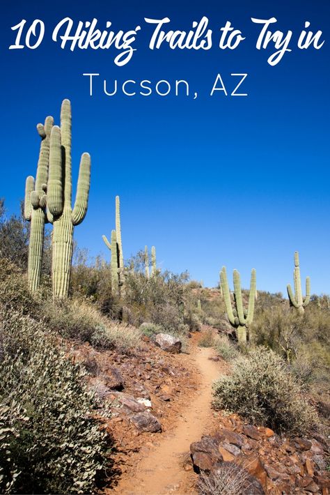 Tuscan Arizona, Tuscon Az, Southwest Travel, Arizona Adventure, Arizona Road Trip, Arizona Hiking, Camping Destinations, Desert Life, Hiking Spots