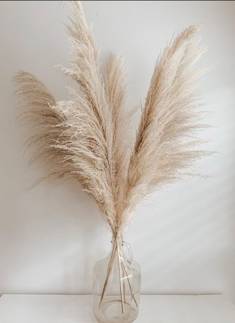 8pcs LARGE PAMPAS GRASS 3ft Dried Flowers for Interior - Etsy Grass Decor, Pampas Grass Decor, Deco Boheme, Dried Flower Arrangements, Pampas Grass, Aesthetic Room Decor, Aesthetic Room, Home Deco, Boho Decor