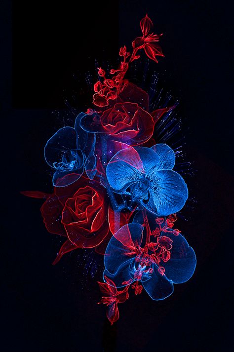 FANTASMAGORIK® BOTANIK II on Behance Blue Roses Wallpaper, Shocking Blue, Tattoo Skull, Purple Flowers Wallpaper, Amoled Wallpapers, Art Fractal, Music Tattoo, Beautiful Flowers Wallpapers, Art Wallpaper Iphone