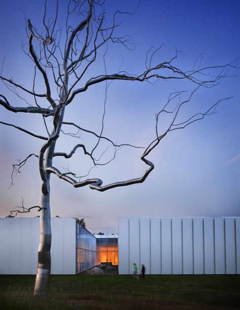 North Carolina Museum of Art - Thomas Phifer Thomas Phifer, Arch Exterior, Architecture Cool, Installation Street Art, Metal Tree Art, Assemblage Sculpture, Art Presents, Museum Interior, Art Thomas