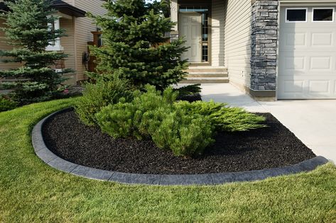 Grey Spanish texture curbing dark mulch Fence Edging Ideas, Garden Edging Ideas Cheap, Landscape Edging Stone, Garden Border Ideas, Fence Edging, Brick Garden Edging, Concrete Curbing, Evergreen Landscape, Garden Fence Ideas