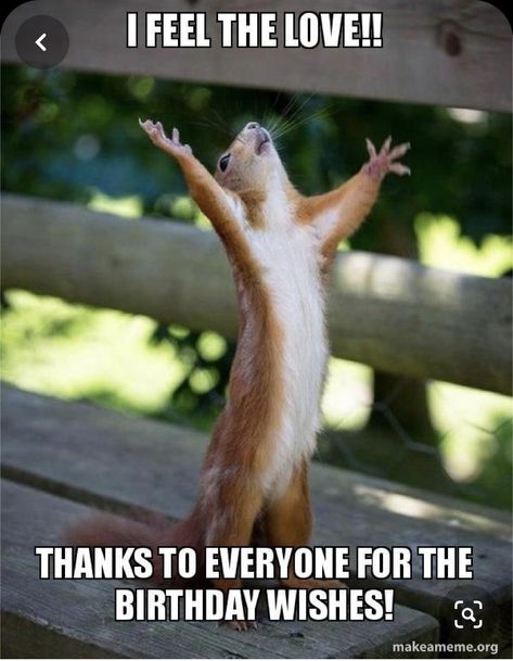 Thank You For Birthday Wishes, Happy Birthday Wishes For A Friend, Happy Squirrel, Funny Happy Birthday Wishes, Funny Friday Memes, Birthday Wishes Funny, Happy Birthday Meme, Happy Birthday Funny, Birthday Quotes Funny