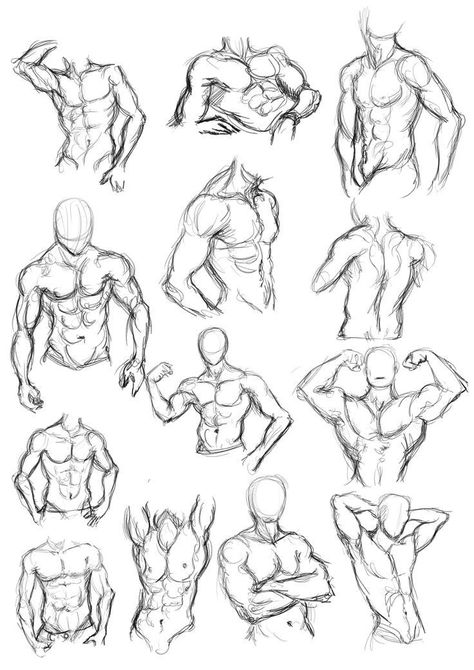 Male Body Anatomy Drawing Step By Step, How To Draw Male Anatomy Step By Step, Male Body Base Sketch, Arms Over Head Pose Reference, Sketch Poses Female Anatomy Reference, Figure Sketching Men, Six Pack Drawing Reference, Man Anatomy Drawing Pose Reference, Guy Body Sketch