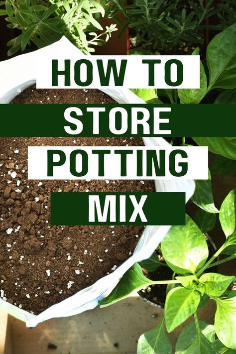 Potting Soil Storage Container, Soil Storage Container, Garden Soil Storage, Potting Soil Storage, Garden Soil Mix, Compost Soil, Plants Diy, Vegetable Garden Tips, Gardening Projects