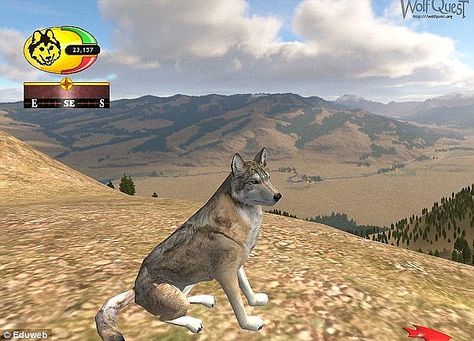 Wolf Quest, The Wolf Game, Wolf Game, Wild Wolf, Living The Life, Game Change, Role Playing Game, Wolf Pictures, Game Pictures