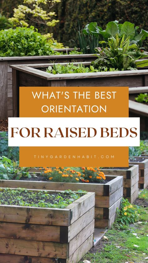 Raised garden beds are becoming increasingly popular for home gardeners and for good reason - they're space-efficient, can be customized to suit just about any type of soil and climate, and are easy to build and maintain. But one of the biggest questions is, what is the best orientation for these kits? In this article, we'll explore the pros and cons of different orientations for raised garden beds and provide some tips for choosing the best option for your own garden. Birdies Raised Garden Beds Layout, Raised Bed Planting Ideas, Garden Setup Ideas, Raised Bed Layout, Raised Bed Garden Layout, Pioneer Living, Garden Setup, Plants For Raised Beds, Types Of Mulch