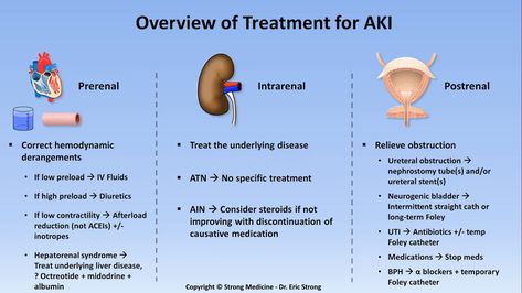 Acute Kidney Injury (AKI) - Management Principles  Prerenal ... Hepatorenal Syndrome, Foley Catheter, Acute Kidney Injury, Medical Jobs, Iv Fluids, Medical Health, Internal Medicine, Nursing, Disease