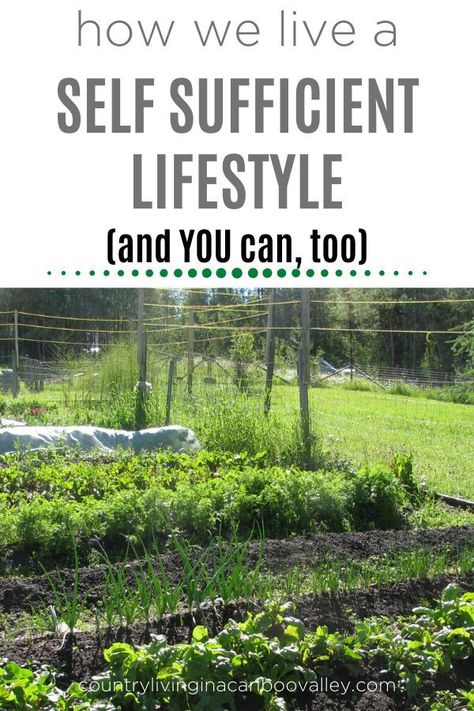 How to live a life of self sufficiency. How to become more self sufficient whether you live in the city, on a homestead or off grid. Ideas and tips for becoming more self reliant. #selfsufficiency #garden #homestead #prepared Off Grid Ideas, Garden Homestead, Grid Ideas, Self Sufficient Homestead, Self Sufficiency, Self Sustaining, Going Off The Grid, Homesteading Skills, Self Sufficient