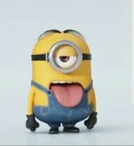 Minion Friday, Baby Joker, Minions Friends, Despicable Minions, What Is My Life, Cute Minions, A Minion, Laughing Emoji, Funny Animal Photos