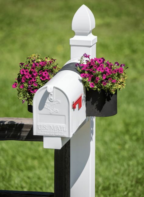 Mailbox Plants, Mailbox Planter, White Mailbox, Mailbox Flowers, Mailbox Garden, Mailbox Makeover, Mailbox Landscaping, Metal Garden Beds, Mailbox Ideas