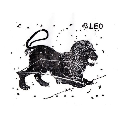 Constellations of the Zodiac Lino Block Print Collection, Leo the Lion ($23) ❤ liked on Polyvore featuring home, home decor, filler, black white home decor, astrology signs, star home decor, zodiac home decor and astrology star signs Constellation Project, Constellation Lion, Leo Sun Sign, Leo Constellation Tattoo, Virgo Constellation Tattoo, History Illustration, Leo The Lion, Virgo Constellation, Lino Block