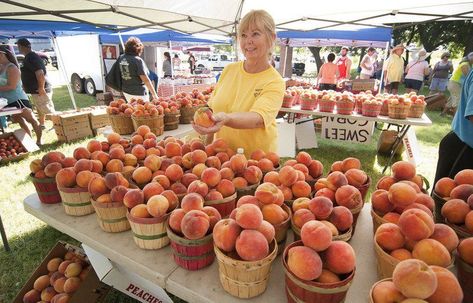 Stratford Peach Festival | TravelOK.com - Oklahoma's Official Travel & Tourism Site Oklahoma State Parks, Homemade Peach Ice Cream, Peach Festival, Old Fashioned Games, Oklahoma Travel, Southwest Region, Northeast Region, Fairs And Festivals, Hotel Motel