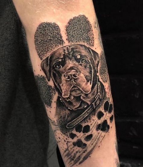 The 14 Best Rottweiler Tattoos That Show Your True Devotion Rottweiler Tattoo Ideas, Boxer Dog Tattoo, Rottweiler Tattoo, Puppy Tattoo, Spider Tattoo, Sketch Tattoo Design, Memorial Tattoo, Rottweiler Dog, Dog Tattoo