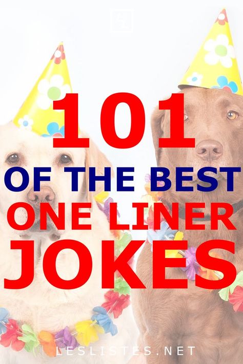 One liner jokes are some of the best types of jokes. They manage to put a lot of humor in such a short thought. Check … | One liner jokes, One line jokes, One liner Jokes One Liner, One Liner Jokes Hilarious, Funny One Liners Jokes, Short Jokes Funny Laughing, Joke Captions, Jokes Hilarious Funny Short, Best Jokes Ever Hilarious Laughing, Corny Jokes Hilarious Funny, Hilarious One Liners