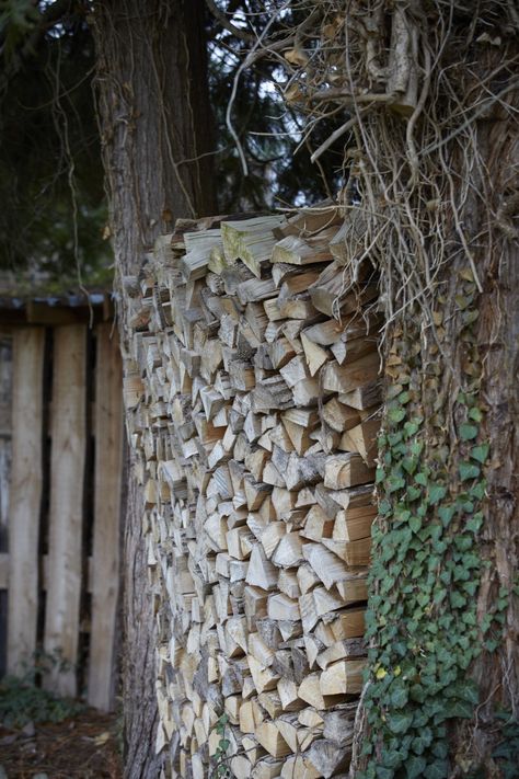 The Well-Kept Woodpile: 10 Tips to Stack and Care for Firewood Outdoors - Gardenista Wood Stacking Ideas Outdoor, Stacked Firewood, Stacking Firewood, Log Art, Stacking Wood, Fern Garden, House Upgrades, House Maintenance, Firewood Shed