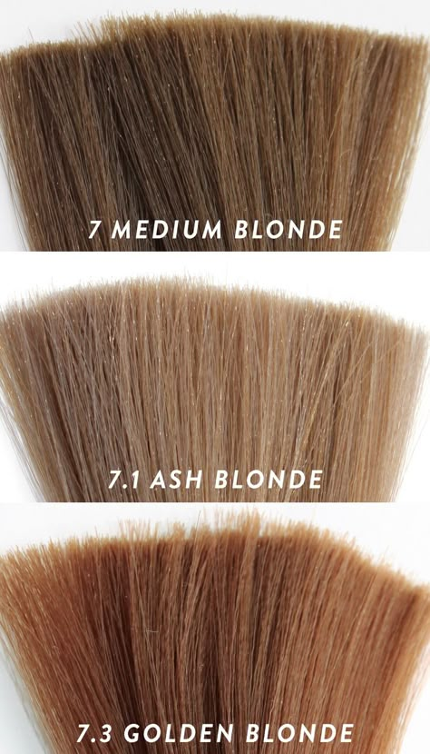 Level 7 Hair Color, Blond Ash, Dark Ash Blonde Hair, Blond Hairstyles, Golden Blonde Hair Color, Dark Golden Blonde, Hair Levels, Medium Blonde Hair, Dark Ash Blonde