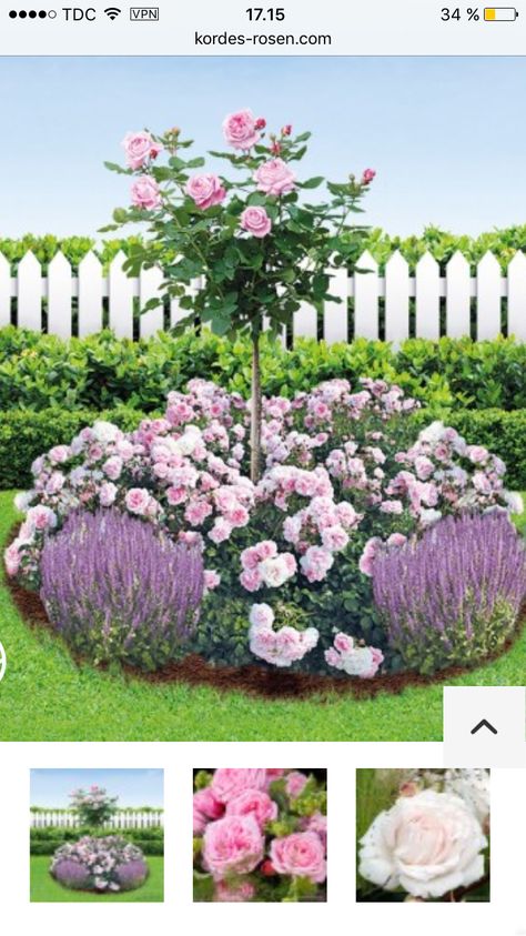 Small Garden Design Ideas Budget, Garden Boarders Ideas, Simple Backyard Landscaping, Small Garden Design Ideas, Garden Ideas Uk, Landscaping Decor, Rose Garden Landscape, Rosen Beet, Garden Planning Layout