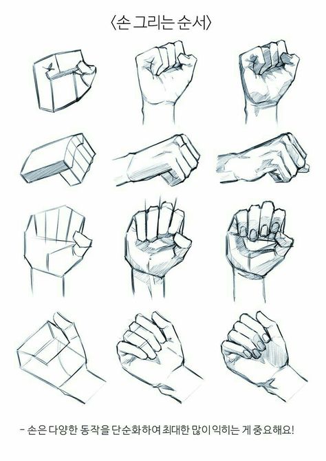 Hands Tutorial, رسم كاريكاتير, Human Body Drawing, Drawing Hands, Hand Gestures, Body Drawing Tutorial, Hand Drawing Reference, Human Anatomy Art, Anatomy Sketches