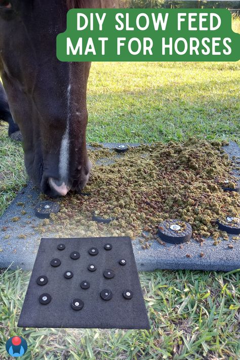 Close up image of a black horse eating from slow feeder mat with horse feed for boredom relief. Inset image of DIY enrichment for horses made from rubber stall mat with small round texture tabs. White text in green box at top reads: DIY slow feed mat for horses. Round blue and red Enriching Equines logo in lower left corner. Horse Pasture Enrichment, Horse Enrichment, Toys For Horses, Pasture Shelter, Animal Enrichment, Natural Eating, Paddock Paradise, Diy Step, Horse Exercises