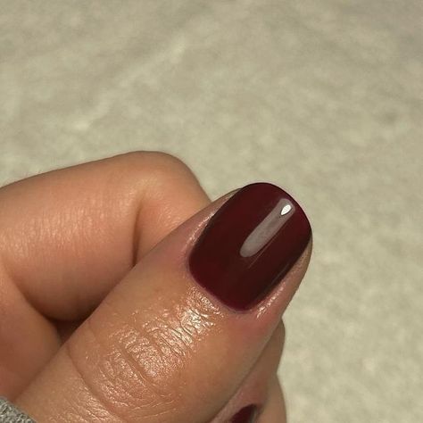 CHLO on Instagram: "she is the moment 🍷 Ethel Doris Helen @officialnavyprofessional Wine @glossifyofficial #glossify #love glossify #usemeglossify #glossifywine #autumnnails #printnailtechs #navyprotools #navypro #biab #shortnails #naturalnails #nailinspo #autumninspo #cleanmanicure #surreynails #surreybiab #ashteadnails #manicure #nudenails #autumninspo #nails2023 #festivenails #rednails #darkred #sparklynails #minimalnailart #redcapsule #nailsnailsnails" Glossify Nails, She Is The Moment, Minimal Nails Art, Festival Nails, Sparkly Nails, Nude Nails, Nail Manicure, Red Nails, Natural Nails