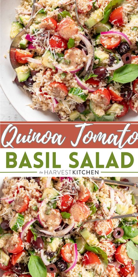 This Quinoa Tomato Basil Salad makes a perfect side to serve with grilled chicken and fish or enjoy it on its own as a light main for lunch or dinner. Basil Quinoa, Quinoa Tomato, Tomato Basil Salad, Basil Salad, Quinoa Salad Recipe, Mediterranean Quinoa Salad, Harvest Kitchen, Hearty Casseroles, Quinoa Salad Recipes