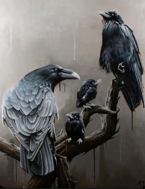 Raven Spirit Animal, Crow Paintings, Crow Spirit Animal, Runes Norse, Crow Pictures, Crow And Raven, Two Ravens, Crow Tattoo Design, Crow Painting