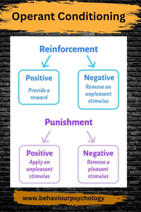 Operant Conditioning Rbt Exam, Negative Reinforcement, Bcba Exam, Behaviour Therapy, Operant Conditioning, Psychology Notes, Applied Behavior Analysis, Study Resources, Behavior Analysis