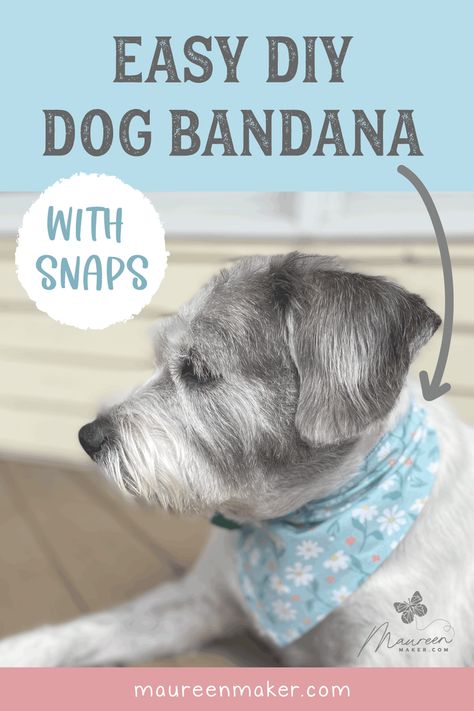 Dog Bandana Tutorial, Bandana Tutorial, Dog Bandana Diy, Bandanas Diy, Dog Bandana Pattern, Dog Sewing Patterns, Dog Bandanna, Bandana Pattern, Luxury Dog Collars