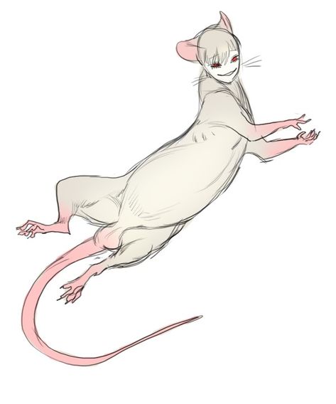 Animals With Human Face, Piebald Human, Rat Monster Art, Animals As Humans Drawings, Rat Oc, Animal Human Hybrid Oc, Rat Monster, Feral Human, Animals As Humans