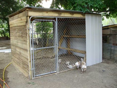 Chain link dog kennel converted to a chicken coop. Reban Ayam, Chain Link Dog Kennel, Pallet Dog House, Chicken Coop Pallets, Portable Chicken Coop, Diy Dog Kennel, Chicken Pen, Dog House Plans, Coop Design