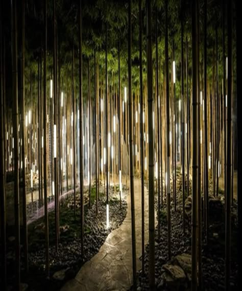 Bamboo Lighting Ideas, Forest Lighting, Forest Lights, Bamboo Lighting, Bamboo Decoration, Bamboo Landscape, Bamboo Grove, Park Project, Forest Light