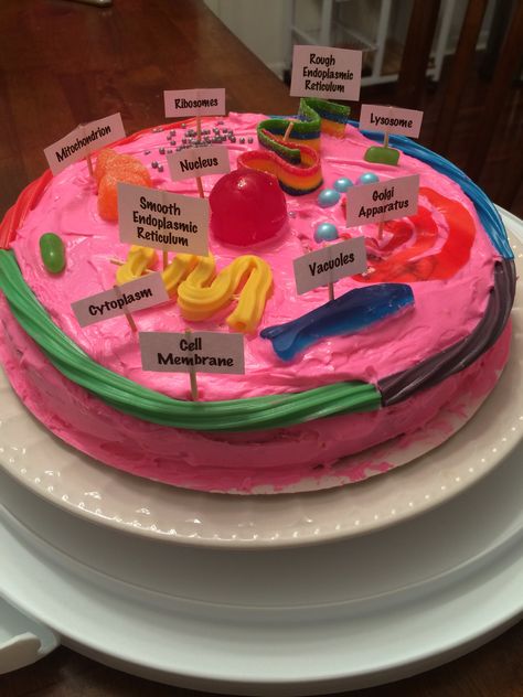 Animal Cell Project Cake, Organelle Project, Animal Cell Cake, Plant Cell Cake, Animal Cell Model Project, Edible Animal Cell, Cell Cake, Plant Cell Project, Edible Cell