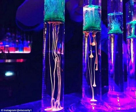 These are the weird and wonderful creations cooked up in Queensland by 'molecular mixologist' Kinsey Johnson Stanthorpe Queensland, Molecular Cocktails, Molecular Mixology, Hey Bartender, Brunch Bar, Halloween Science, Mixed Drinks Alcohol, Long Island Iced Tea, Science Themes