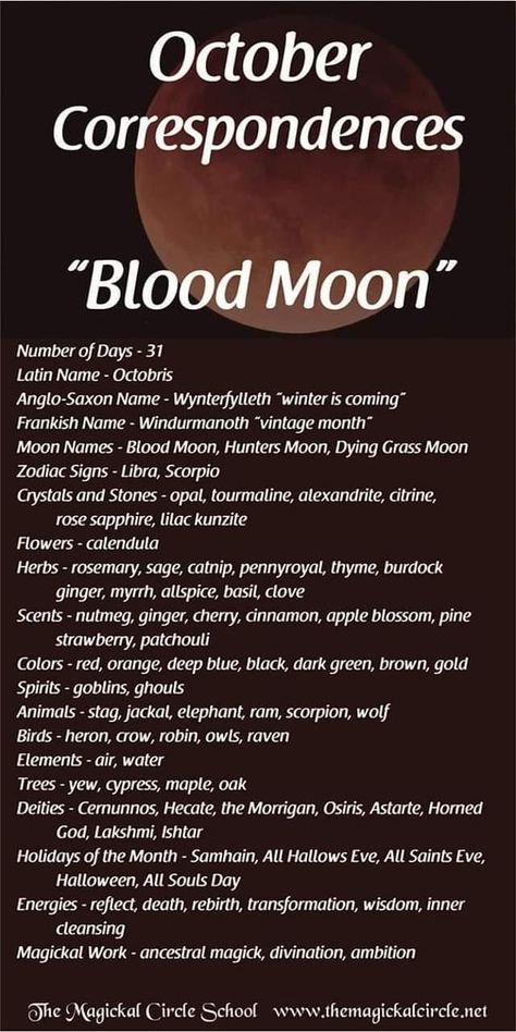 October correspondence Blood Moon October Correspondences, Month Correspondence, Monthly Correspondences, Samhain Correspondences, Blood Moon Rituals, Witchy Calendar, Moon Zodiac, Moon Meaning, Moon Names