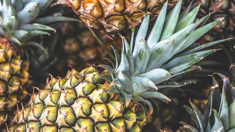 Can You Eat Pineapple Leaves? Potential Benefits and Dangers Pineapple Diet, Pineapple Tea, Pineapple Health Benefits, Pineapple Leaves, Pineapple Benefits, Pineapple Planting, Growing Healthy Hair, Reactive Oxygen Species, Pineapple Fruit