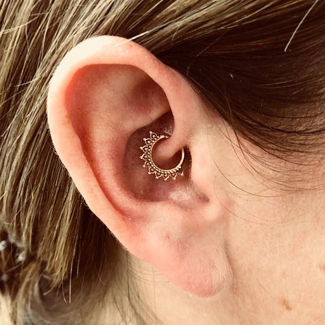 Daith Piercing Minimalist, Ear Piercing Ideas Daith, Daith Piercings, Gold Daith Jewelry, Piercing Daith, Rose Gold Daith Jewelry, Piercing No Lóbulo, Daith Rings, Ear Peircings