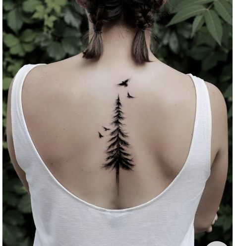 Evergreen Tree Tattoo, Fox Tattoo Design, Larch Tree, Tree Tattoos, Tree Tattoo Designs, Fox Tattoo, Spine Tattoo, Wallpapers Images, Tree Tattoo