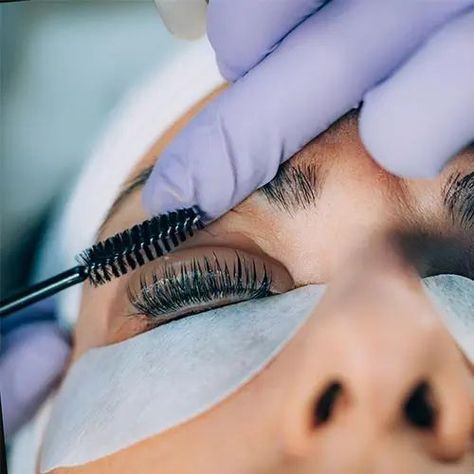 Gossip Lash & Brow Lounge Offers Lash Tinting in Fort Wayne, IN 46804 Spa Bar, Lash Lifts, Eyelash Tinting, Eyelash Logo, Lash Tint, Lash Room, Eyelash Lift, Beauty Lash, Beauty Therapist