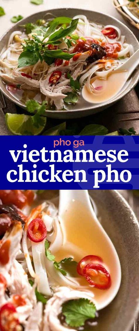 Vietnamese Chicken Pho, Vietnamese Chicken Soup, Chicken Pho Soup, Soup Vietnamese, Pho Soup Recipe, Pho Ga, Vietnamese Chicken, Recipe Shrimp, Chicken Pho