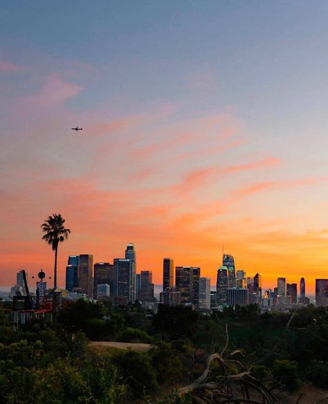 Los Angeles Wallpaper, Palm Tree Sunset, Hollywood Hills, Pretty Sky, City Landscape, Pretty Photos, Los Angeles California, City Photography, California Dreamin'