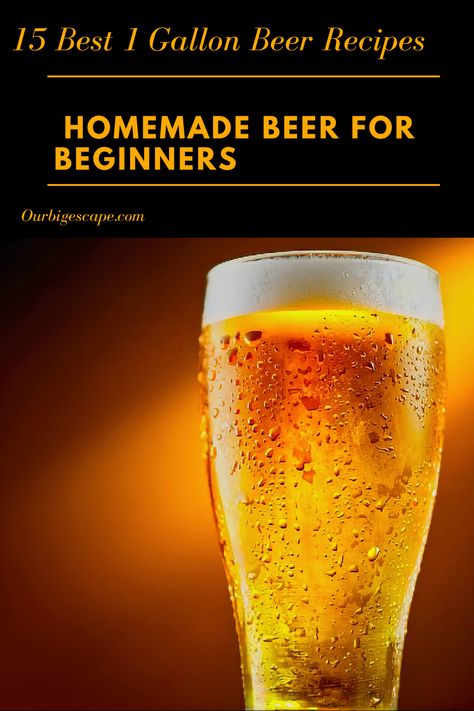 Beer Brewing Recipes - You’ve already impressed your friends with your homebrew – now impress them with your knowledge about 1 Gallon Beer Recipes! Warning: Any sharing of these random beer facts at non-beer related events may cause you to be labeled a “beer geek.” Read on with caution! Beer Making For Beginners, Home Beer Brewing, Ingredients Tattoo, Ingredients Illustration, Making Beer At Home, Brewing Beer At Home, Roadhouse Recipes, Texas Roadhouse Recipes, Ingredients Design